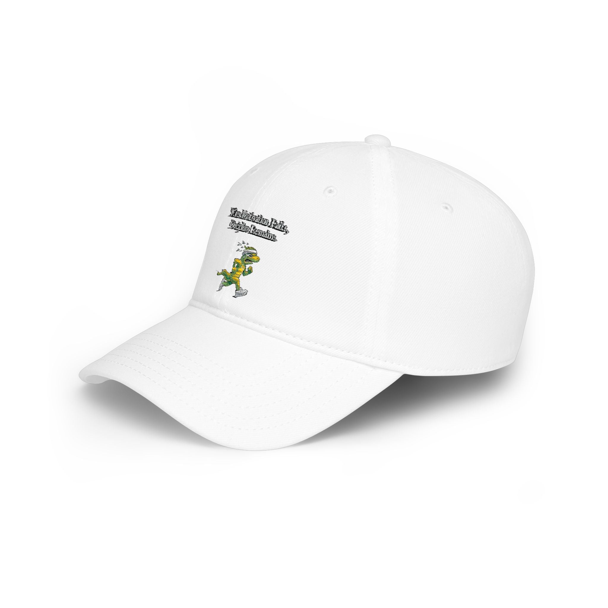 Low Profile Baseball Cap
