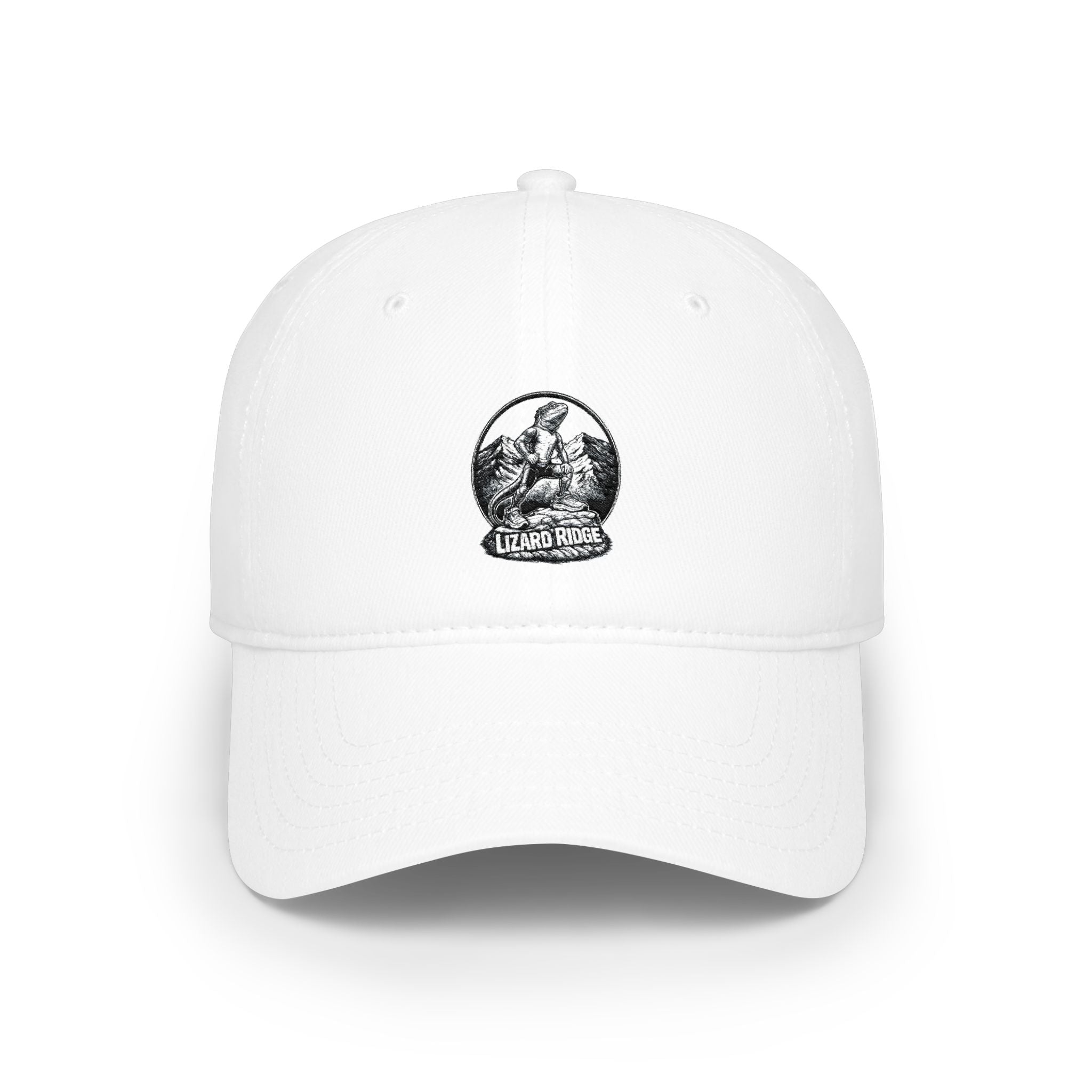 Low Profile Cap with Vintage Snow Globe Graphic