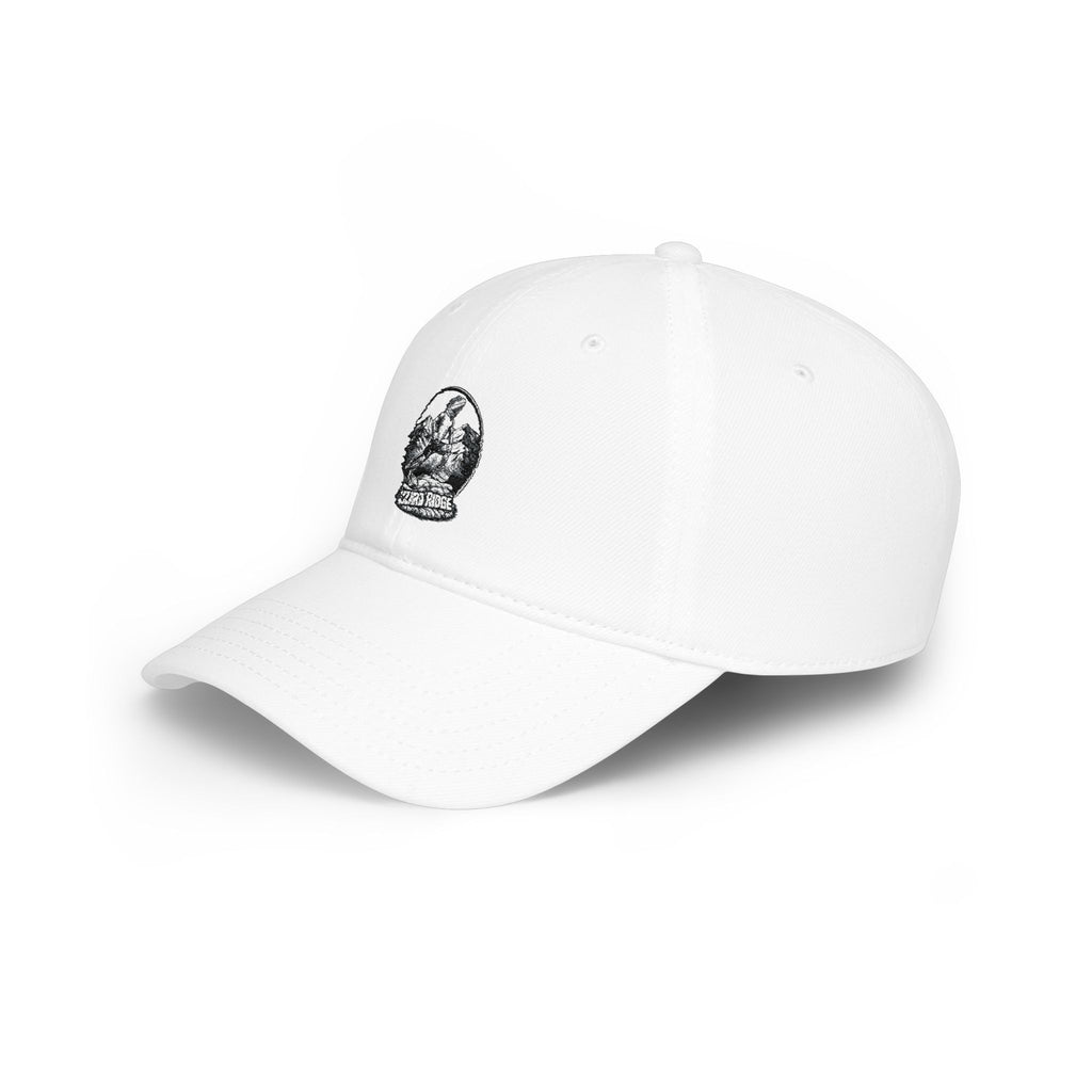 Low Profile Cap with Vintage Snow Globe Graphic